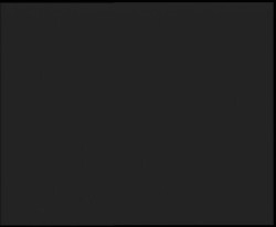 Nástup na běžecké tratě