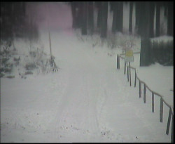 Nástup na běžecké tratě