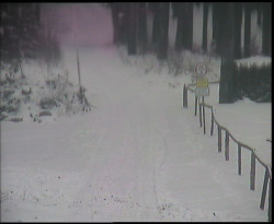 Nástup na běžecké tratě