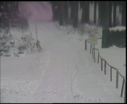 Nástup na běžecké tratě