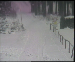 Nástup na běžecké tratě