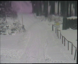 Nástup na běžecké tratě