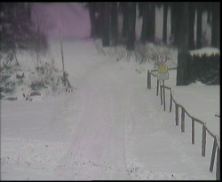 Nástup na běžecké tratě