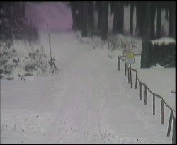 Nástup na běžecké tratě