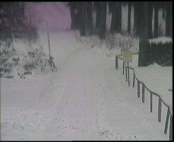 Nástup na běžecké tratě