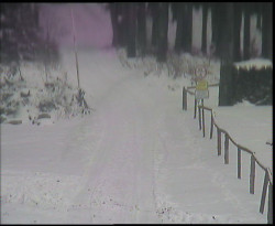 Nástup na běžecké tratě