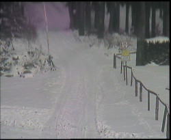 Nástup na běžecké tratě