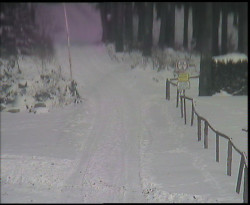 Nástup na běžecké tratě