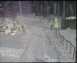 Nástup na běžecké tratě