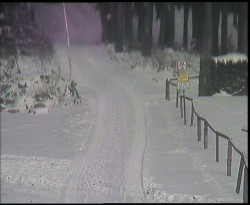 Nástup na běžecké tratě