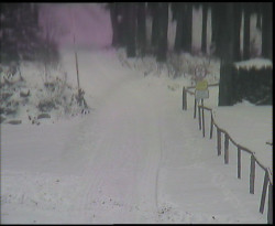 Nástup na běžecké tratě