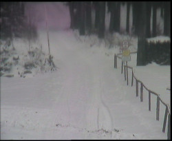 Nástup na běžecké tratě