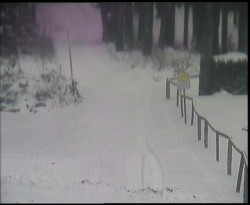 Nástup na běžecké tratě