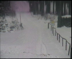 Nástup na běžecké tratě