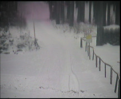 Nástup na běžecké tratě