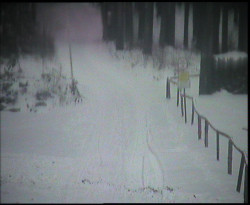 Nástup na běžecké tratě