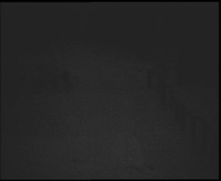 Nástup na běžecké tratě