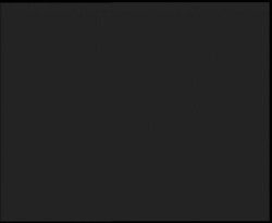 Nástup na běžecké tratě