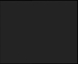 Nástup na běžecké tratě