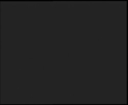 Nástup na běžecké tratě