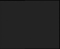 Nástup na běžecké tratě