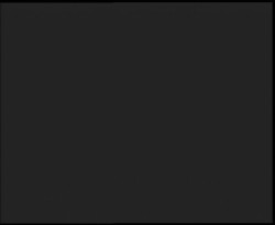 Nástup na běžecké tratě