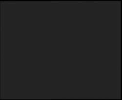 Nástup na běžecké tratě