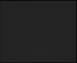 Nástup na běžecké tratě