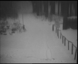 Nástup na běžecké tratě