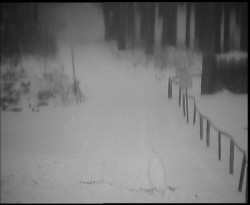 Nástup na běžecké tratě