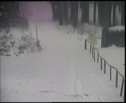 Nástup na běžecké tratě