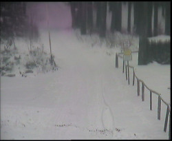 Nástup na běžecké tratě