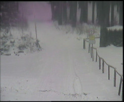 Nástup na běžecké tratě