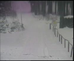 Nástup na běžecké tratě