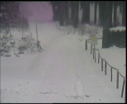 Nástup na běžecké tratě