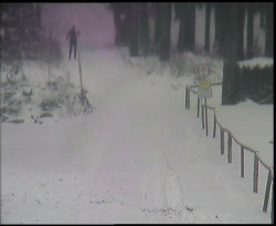 Nástup na běžecké tratě