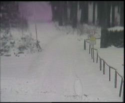 Nástup na běžecké tratě