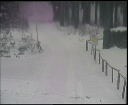 Nástup na běžecké tratě