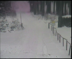 Nástup na běžecké tratě