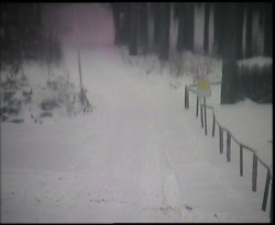 Nástup na běžecké tratě