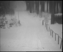 Nástup na běžecké tratě