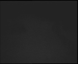 Nástup na běžecké tratě