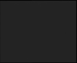 Nástup na běžecké tratě