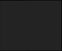 Nástup na běžecké tratě