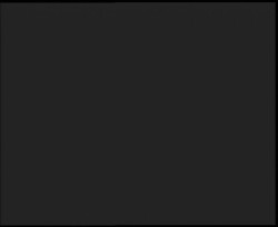 Nástup na běžecké tratě