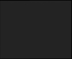 Nástup na běžecké tratě