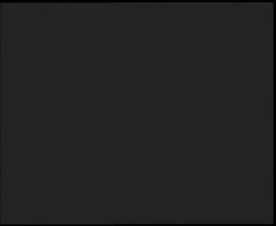 Nástup na běžecké tratě