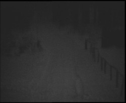 Nástup na běžecké tratě