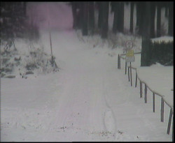 Nástup na běžecké tratě