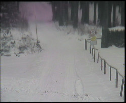 Nástup na běžecké tratě